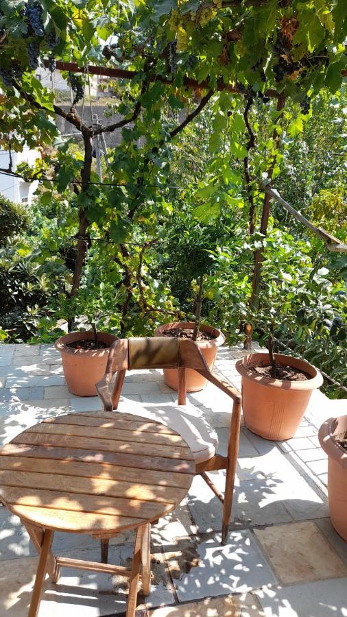 Camping Late Gjirokastër Exterior foto